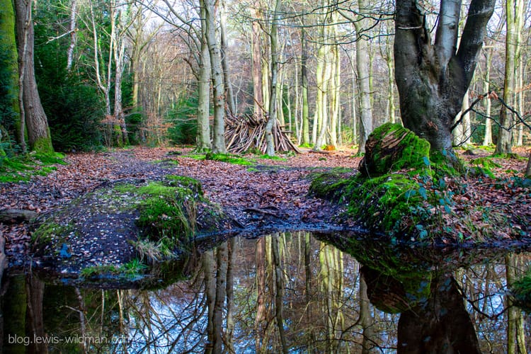 Creech Wood Trail