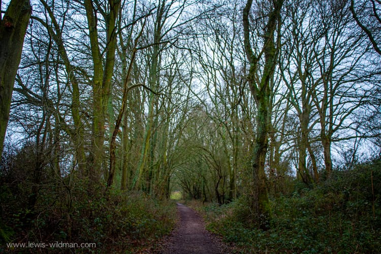 Meon Valley Trail